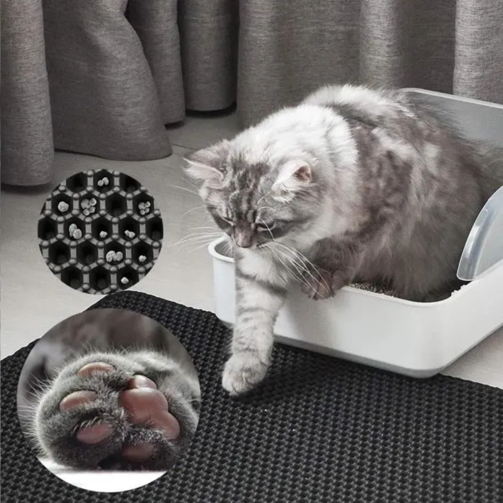 AbsorbiLitière